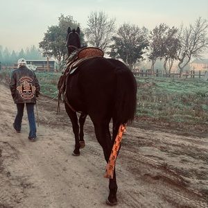 Meet your Posher, Elly